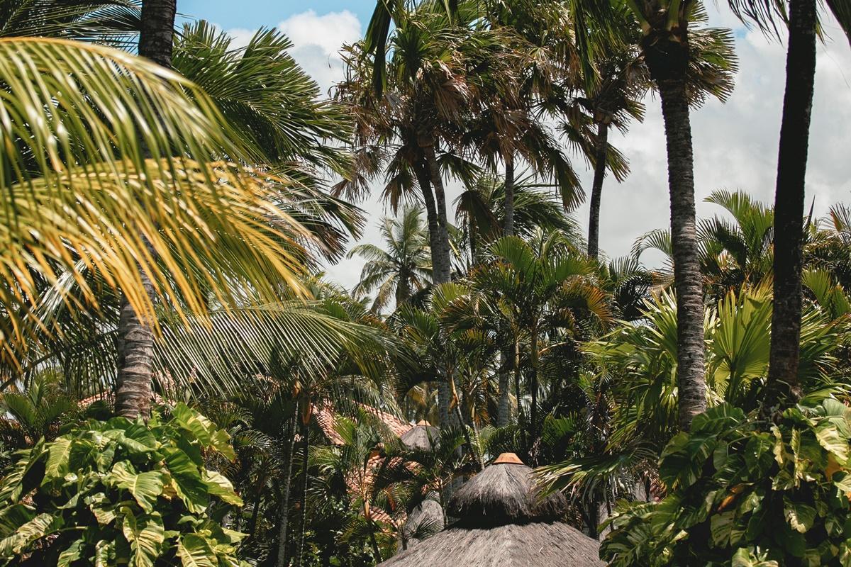 Ocapora Hotel All Inclusive Porto de Galinhas Bagian luar foto